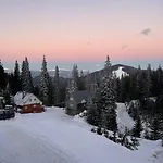 Vershyna Dragobrat