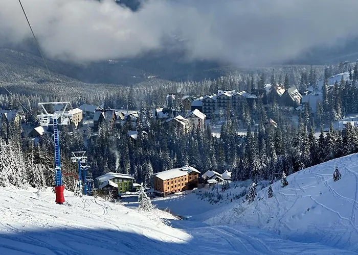Vershyna